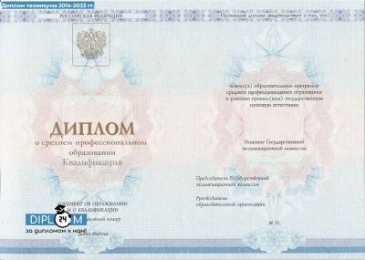 Диплом техникума 2014-2024 гг.